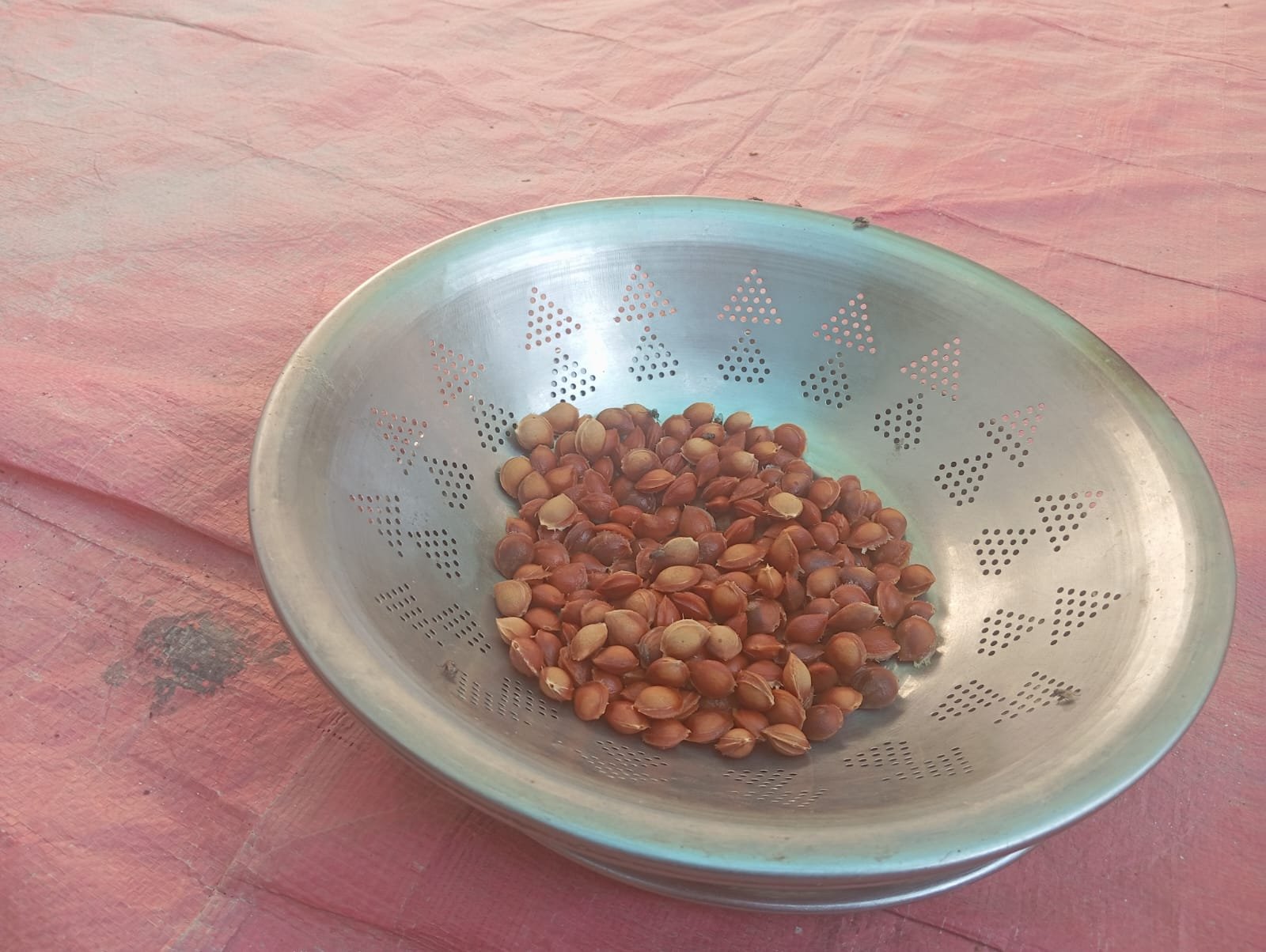 almonds inside apricots used for decoration in hyderabadi khubani ka meetha