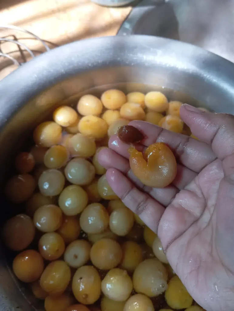 I used dried apricots which I soaked overnight, and then in the next morning I cooked those apricots which are full of nutrition.